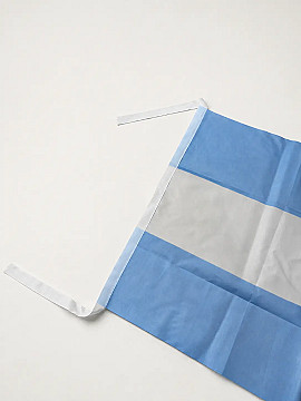 Bandera Argentina. - 2