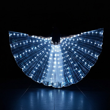 Alas Led Capa Luminosa 145 cm - 1