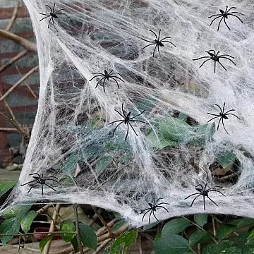 Telaraña 20 Gr - 2